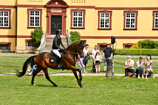  | 24052026 Springen VE_203 