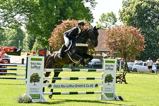 Springen VL