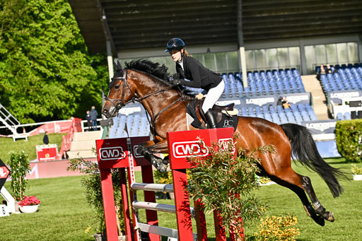  | 115052026 CWD 115 cm _056 