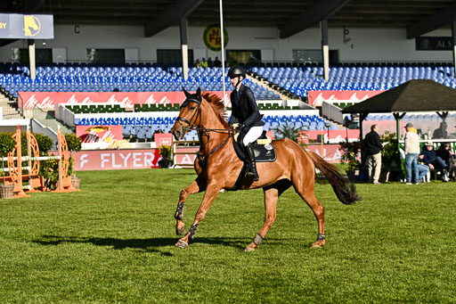  | 115052026 CWD 115 cm _080 