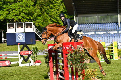  | 115052026 CWD 115 cm _081 