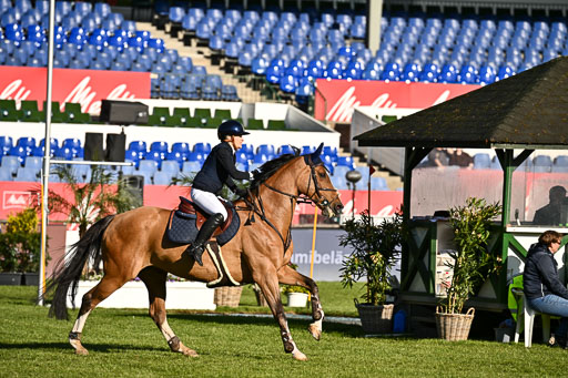  | 115052026 CWD 115 cm _098 