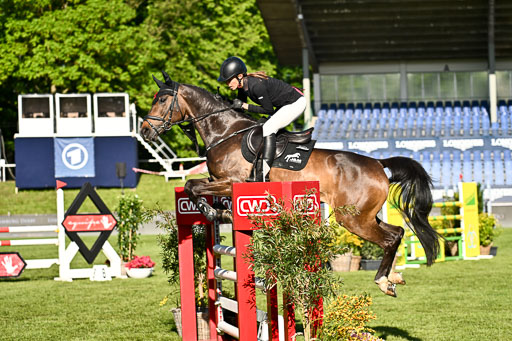  | 115052026 CWD 115 cm _191 