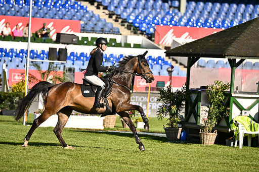  | 115052026 CWD 115 cm _204 
