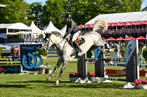  | 115052026 CWD 115 cm _217 