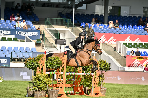  | 115052026 CWD 115 cm _540 