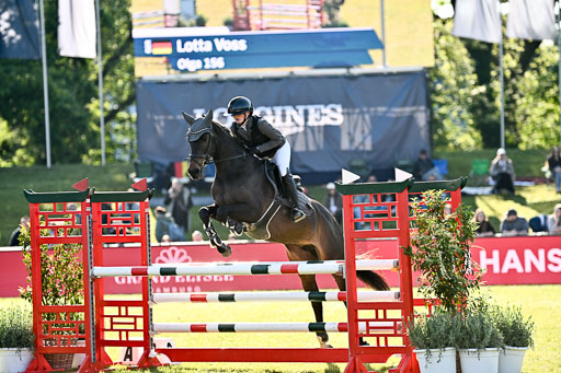  | 17052026 CWD 115cm _098 