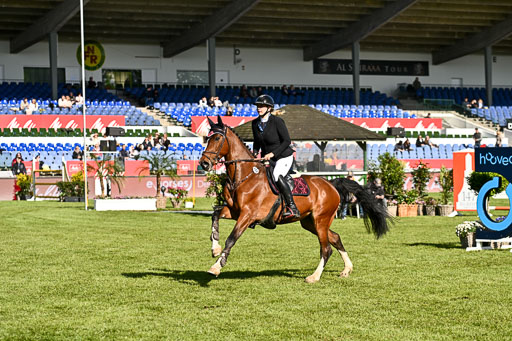  | 15052026 CWD 125cm _016 