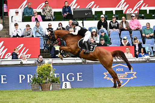  | 17052026 Amateur Derby _074 