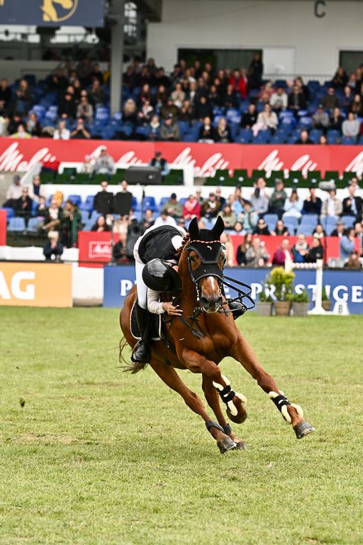  | 17052026 Amateur Derby _078 