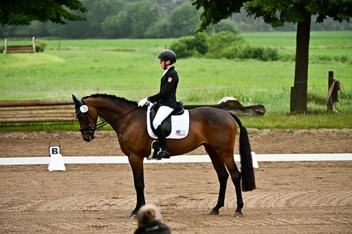  | 12062026 Dressur A_004 