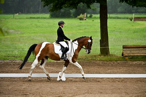  | 12062026 Dressur A_038 