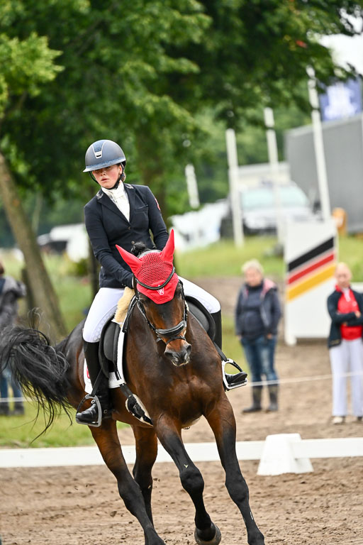  | 12062026 Dressur A_161 