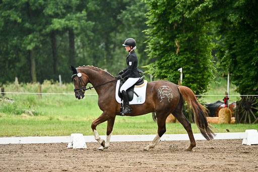 12062026-Dressur-A_270.jpg