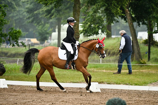  | 12062026 Dressur A_283 