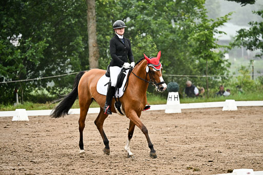 12062026-Dressur-A_288.jpg