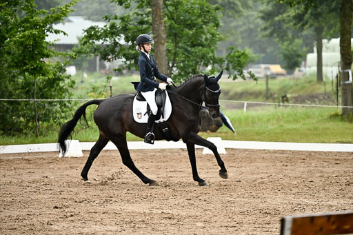  | 12062026 Dressur A_428 