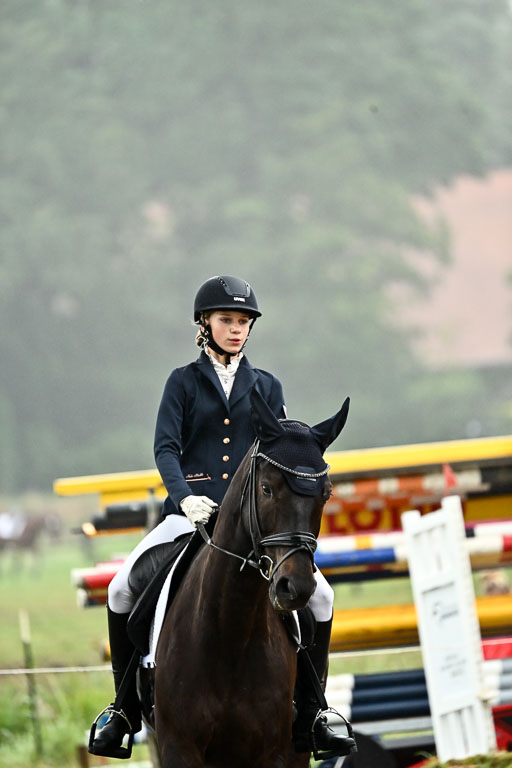  | 12062026 Dressur A_433 