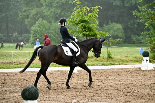12062026-Dressur-A_444.jpg