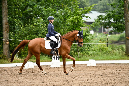  | 12062026 Dressur A_464 