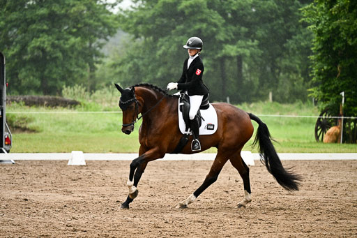  | 12062026 Dressur A_477 