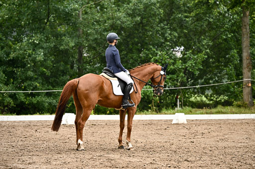 12062026-Dressur-A_479.jpg