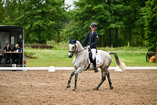  | 12062026 Dressur A_536 