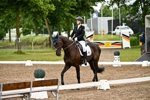  | 12062026 Dressur A_569 