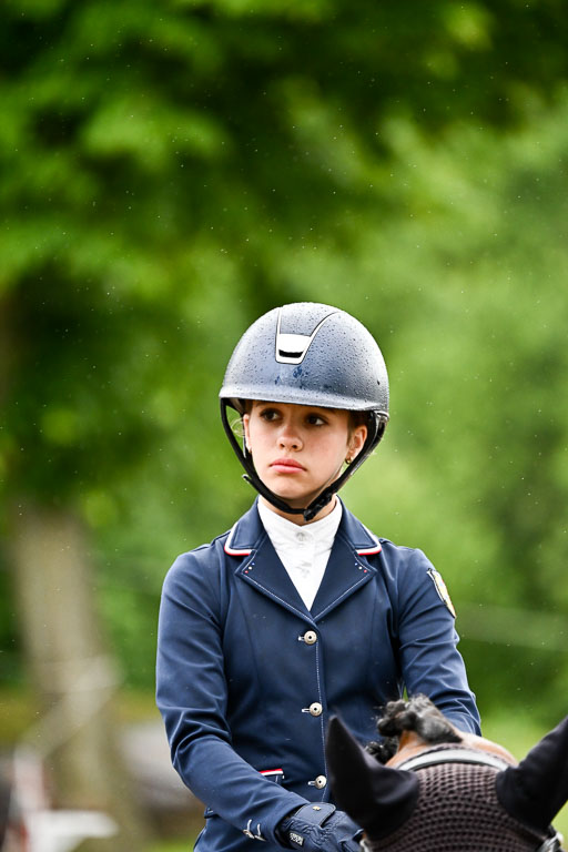 Goldene Schärpe Pferfde in Löningen 2026 | 12062026Dressur B _0001 