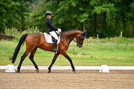Goldene Schärpe Pferfde in Löningen 2026 | 12062026Dressur B _0005 