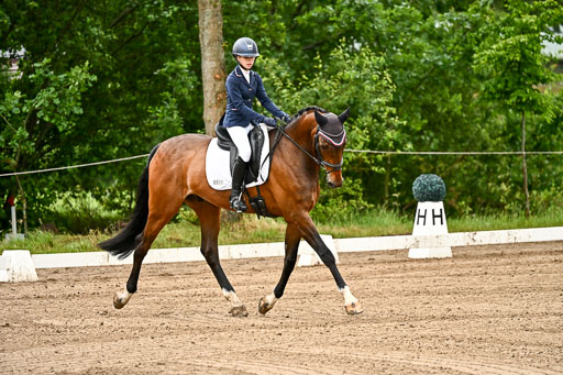 Goldene Schärpe Pferfde in Löningen 2026 | 12062026Dressur B _0008 