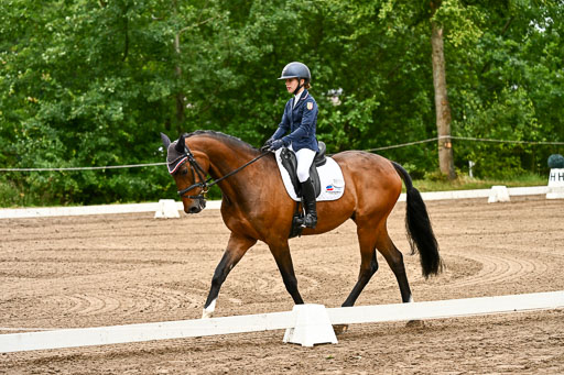 Goldene Schärpe Pferfde in Löningen 2026 | 12062026Dressur B _0013 
