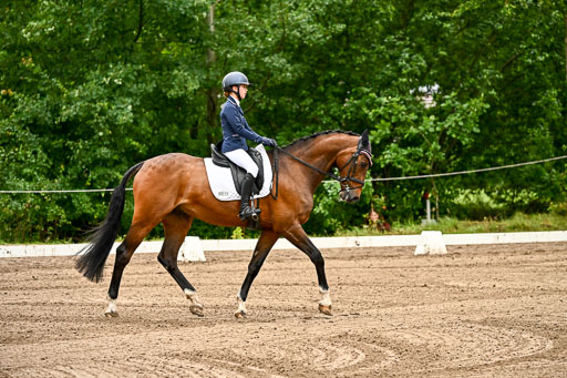 Goldene Schärpe Pferfde in Löningen 2026 | 12062026Dressur B _0016 