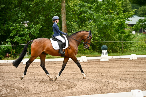 Goldene Schärpe Pferfde in Löningen 2026 | 12062026Dressur B _0018 