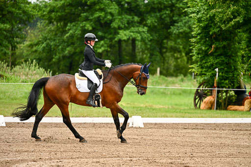 Goldene Schärpe Pferfde in Löningen 2026 | 12062026Dressur B _0021 