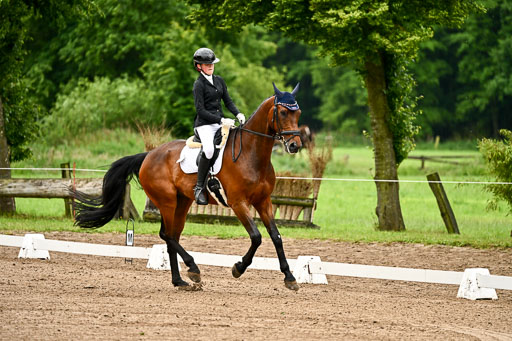 Goldene Schärpe Pferfde in Löningen 2026 | 12062026Dressur B _0023 