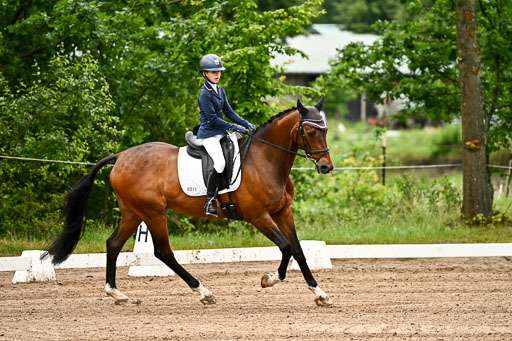 Goldene Schärpe Pferfde in Löningen 2026 | 12062026Dressur B _0025 