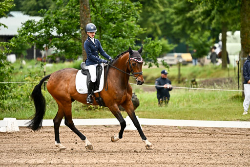 Goldene Schärpe Pferfde in Löningen 2026 | 12062026Dressur B _0027 
