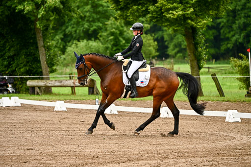 Goldene Schärpe Pferfde in Löningen 2026 | 12062026Dressur B _0030 