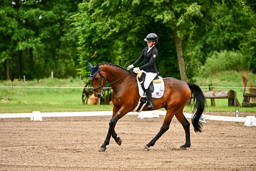 Goldene Schärpe Pferfde in Löningen 2026 | 12062026Dressur B _0032 