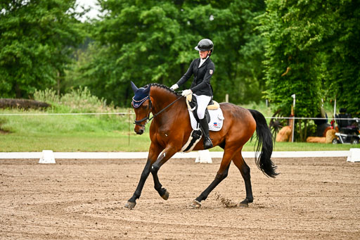 Goldene Schärpe Pferfde in Löningen 2026 | 12062026Dressur B _0033 