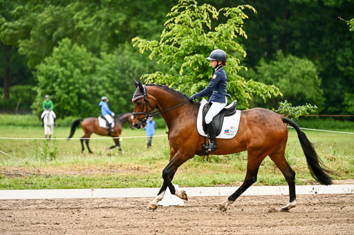 Goldene Schärpe Pferfde in Löningen 2026 | 12062026Dressur B _0035 