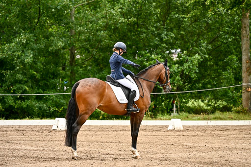 Goldene Schärpe Pferfde in Löningen 2026 | 12062026Dressur B _0041 