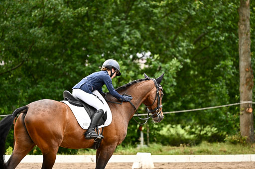 Goldene Schärpe Pferfde in Löningen 2026 | 12062026Dressur B _0042 