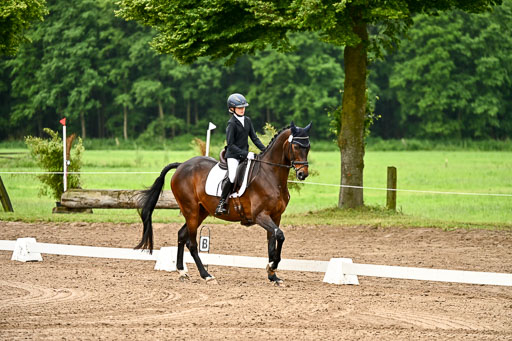 Goldene Schärpe Pferfde in Löningen 2026 | 12062026Dressur B _0043 