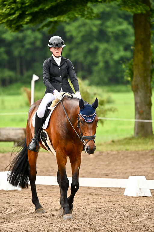 Goldene Schärpe Pferfde in Löningen 2026 | 12062026Dressur B _0045 