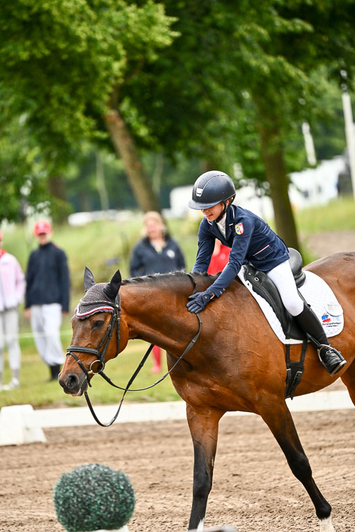 Goldene Schärpe Pferfde in Löningen 2026 | 12062026Dressur B _0047 