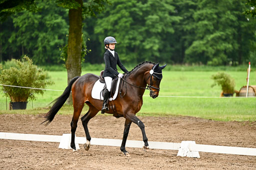 Goldene Schärpe Pferfde in Löningen 2026 | 12062026Dressur B _0051 