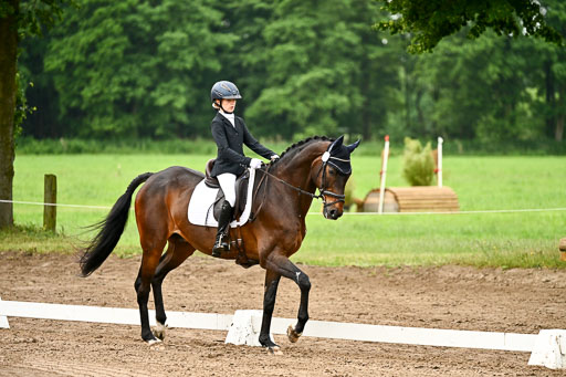 Goldene Schärpe Pferfde in Löningen 2026 | 12062026Dressur B _0052 