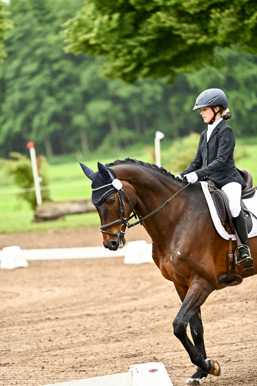 Goldene Schärpe Pferfde in Löningen 2026 | 12062026Dressur B _0055 